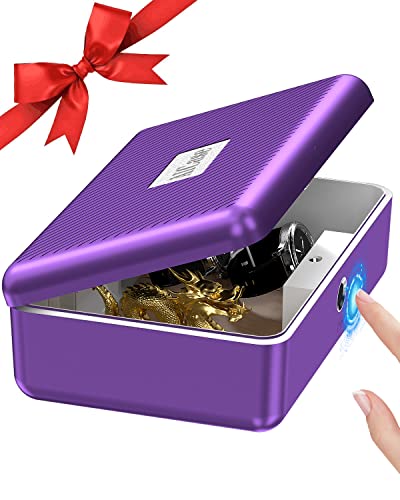 AICase Biometric Fingerprint Storage Box, Portable Cash Jewelry Security Lock