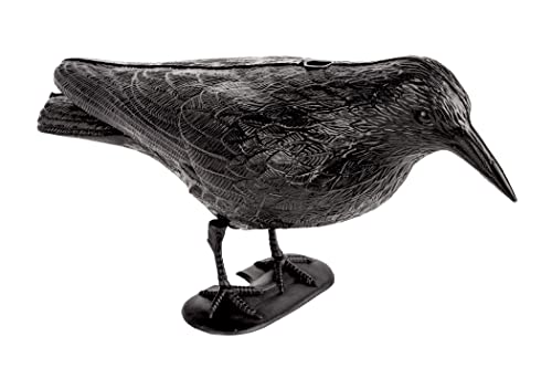 Preisvergleich Produktbild Siena Garden Taubenschreck, schwarzer Rabe, Kunststoff, 551983