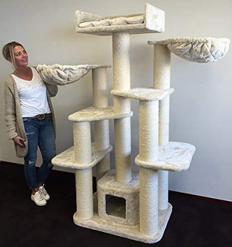 best collar to stop pulling