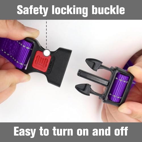 Joytale Martingale Collar for Dogs, Reflective Escape Proof Training Dog Collars with Safety Lock Buckle, No Slip Soft Nylon for Medium Pets, Purple, M by Joytale - Image 5