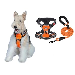Dog Harness and Leash Set, No Pull Dog Harness for Large Dogs, Reflective Easy Control Harness for Small, Medium, Large Dogs, Adjustable Dog Harness with Leash 5 ft. (Orange, Extra Large)