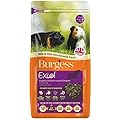 Excel Burgess Guinea Pig Nuggets Blackcurrant and Oregano, 2 kg