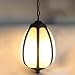 Produktbild Cxwcy Im Freien Wasserdichten Pendelleuchte Beruf Rostschutz Glass Ceiling Pendelleuchte Retro Aluminiumdruckguss Patio Hängelampe Außenregenschutz Kronleuchter Parks Villa Terrasse, Balkon Platz