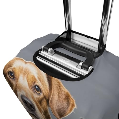 Housse élastique pour deux chiens différents valise 48-81cm - 5