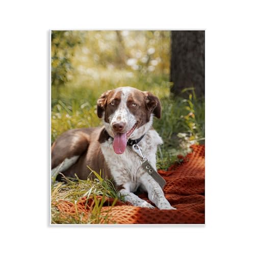 Stupell Industries Pet Personalized Custom Print Rectangular Wall Plaque