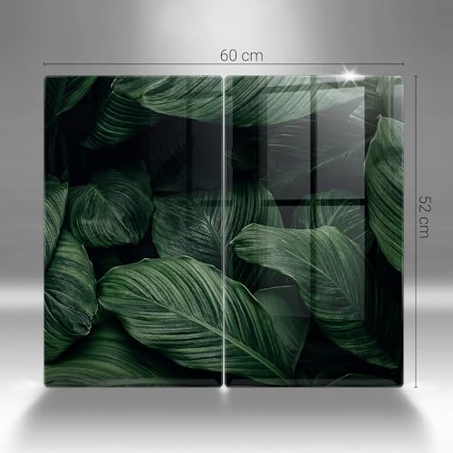 Protection plaque induction contre les rayures avec feuilles sombres