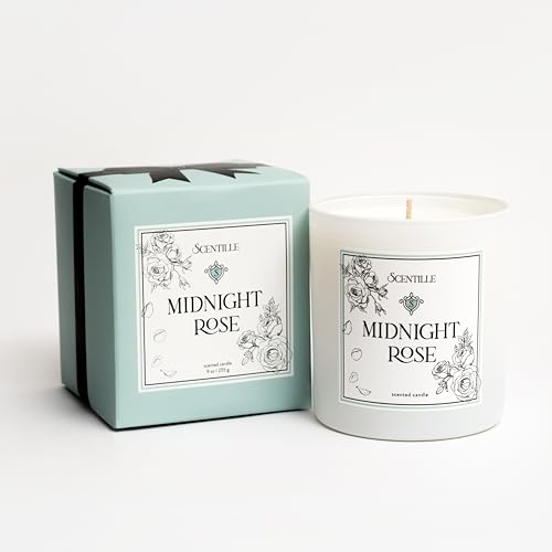 Scentille Vela perfumada, rosa medianoche, 9 onzas, hasta 50 horas de tiempo de combustión, recipiente de vidrio