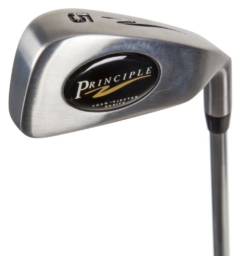 Principle Golf Men's Foam Cavity 6 Iron, Right Hand, Steel, Regular