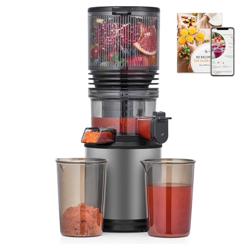 Cold Press Juicer 6