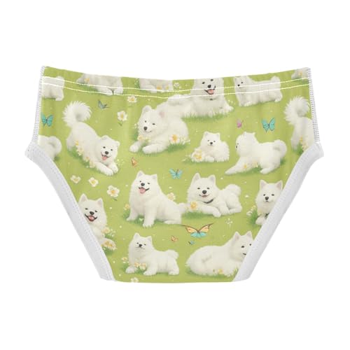 Wusikd Cute Samoyed Boys' Underwear Cotton Puppies Boys Briefs Soft Toddler Underwear 2T2