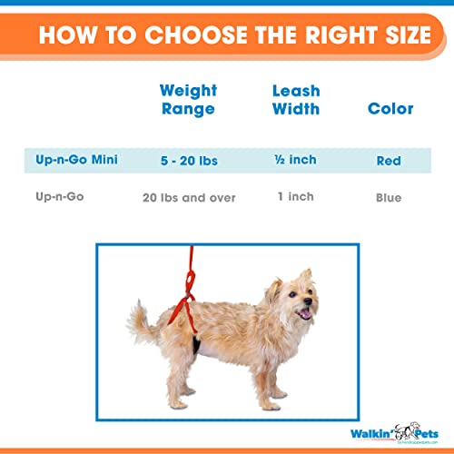 Up-N-Go Mini Rear Support Lifting Harness For Dogs | Helps Dogs With Arthritis, Weakness, Joint Injuries Rehab | Adjustable Straps #TOP1