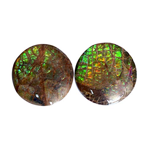 Paire d'ammolite naturelle AG-15046 à offrir pour créer un bijou d'anniversaire