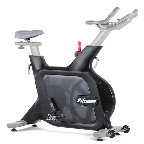 Quiet Electromagnetic Resistance Stationary Bike for Home,