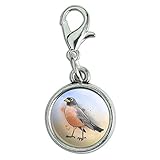 GRAPHICS & MORE Robin Watercolor Northeastern Bird Antiqued Bracelet Pendant Zipper Pull Charm with Lobster Clasp