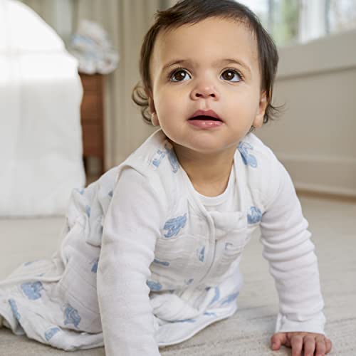Image of aden + anais Baby Sleeping Bag, Wearable Swaddle Blanket for Girls & Boys, Newborn Sleep Sack, Breathable & Lightweight