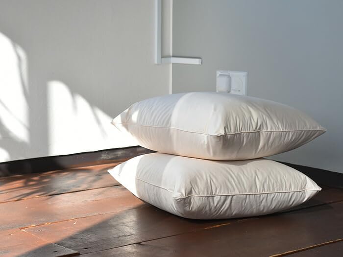 Amazon.co.jp: クッション 中身 45×45cm フェザー 100% 羽毛 ヌード