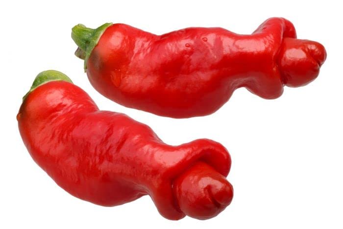 Peter Pepper Red 10 Chilli Seeds by CHILLIESontheWEB - Pick and Mix - Buy 4 for 3