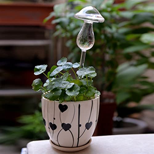 Diffuseur d'eau automatique plante intérieur en verre décoratif - 7