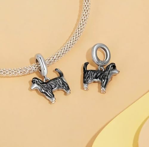 Dije de Border Collie en plata de ley 925 compatible con pulseras 4
