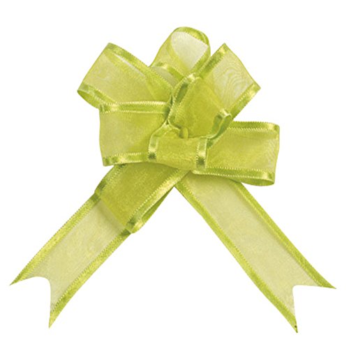 5 NOEUDS ORGANDI VERT ANIS