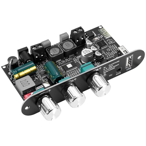 ZK 1001U Amplificador Mono Bluetooth 5.3 HiFi Estéreo con Conexión TWS y Circuito de Potenciación, Salida de 100 W, Mini Amplificador de Audio para Altavoces DIY en Interiores y Exteriores, Entradas U