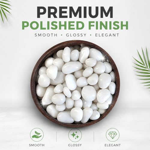 Image of Go Garden Polished White Pebbles Glossy Stones - 2Kg (2.5cm - 4cm) | Premium Decorative Stones for Vase Fillers, Aquarium, Terrarium, Garden, Home Decor & Landscaping