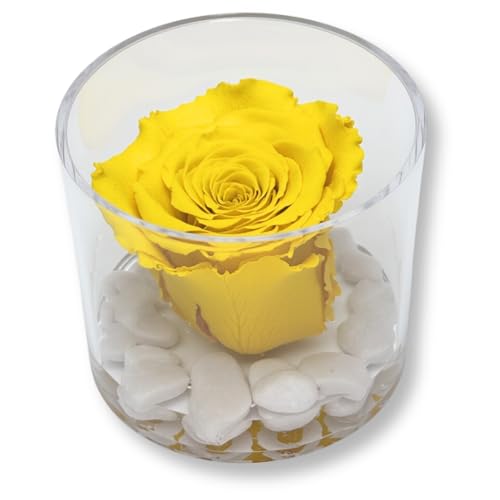 Premium-rose.com Runde Box mit stabilisierter gelber Rose und Carrara-Marmor, Geschenkidee für sie, Freundin, Geschenk für Mutter, Weihnachten, gelber rosa Würfel, hergestellt in Italien (gelb 1094)