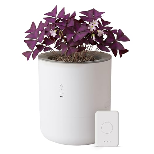 LeafyPod 8 Inch Smart Self Watering Planter with WiFi Bridge & App Control AI Plant Care System with Sensors Automatic Watering Alerts Modern Indoor Planter for Houseplants | Cordless