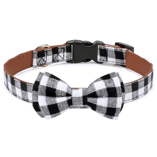 Segarty ̒j̎q̎ցA̒lN^CAobNt̔L̎ցACgubNƃzCg̊iqȂ̎ ybgp \tgŉKA߉\