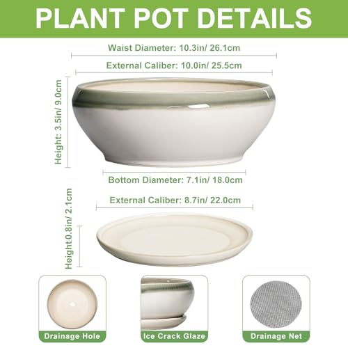 SQOWL Bonsai-Töpfe aus Keramik, 25,4 cm, Sukkulenten-Pflanzgefäße für Zimmerpflanzen, Outdoor… – Ansicht 2