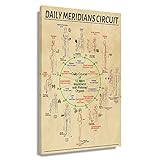 Diagrammi anatomici, le immagini sono etichettate e descritte con parole, ricche di informazioni e intuizioni.