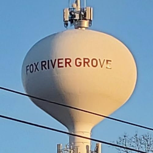 Fox River Grove trustee censured by board for &lsquo;potentially slanderous&rsquo; comments
