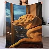 Photo Gallery lcwww coperta in flannel di dog, per divano copriletto copertas da viaggio, super morbida, leggera, calda, confortevole, 100×130cm Photo Gallery lcwww coperta in flannel di dog, per divano copriletto copertas da viaggio, super morbida, leggera, calda, confortevole, 100×130cm