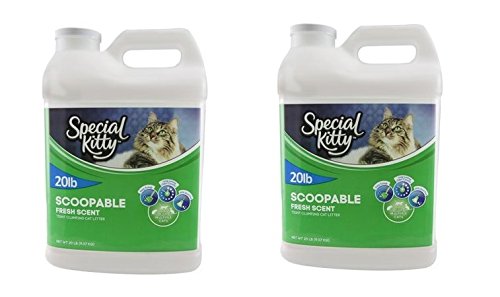 Special Kitty Scoopable Fresh Scent Tight Clumping Cat Litter, 20 Lb, Pack of 2