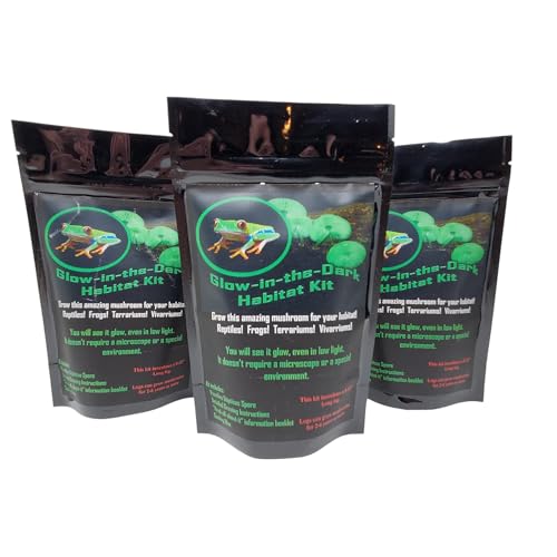 Forest Organics Glow in the Dark Mushroom Growing Log Habitat Kit