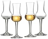 Ritzenhoff & Breker Grappagläser-Set Mambo | 4-teilig | 85 ml