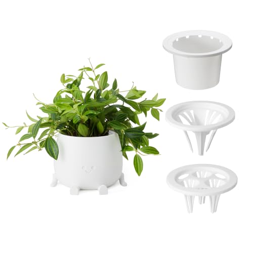 Image of TOPOLA 5.2 Inch Hydroponic Happy Face Planter with 3 Interchangeable Grow Baskets, Water Culture Pot for Pothos, Lucky Bamboo & Plant Propagation, Decorative Desktop Planter for Home & Office, White