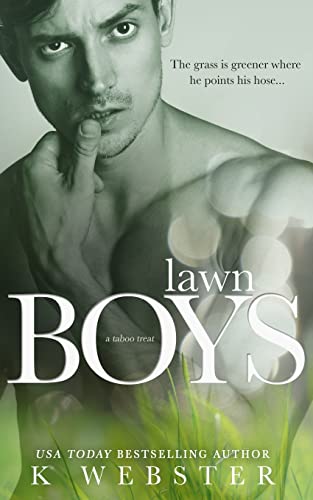 Lawn Boys view 2