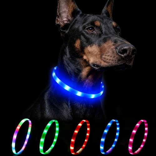 Nepfaivy Light Up Dog Collar - Flashing Dog Collar Lights for The Dark, Rechargeable LED Collars with 4 Glow Modes for Small Medium and Large Dogs, 70cm,Blue