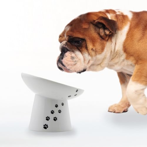 Necoichi Raised Dog Food Bowl Elevated for Dogs and Cats Pets Feeding Feeder Non-Slip for Small Dogs Dishwasher and Microwave Safe No.1 Seller in Japan! (Dog Extra Wide Tilted)