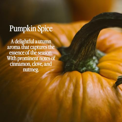 Image of Original Pumpkin Spice Fragrance from Our Holiday Collection - Perfect for Adding Aroma to Freshies, Candles, Soaps, and Diffusers - 32oz
