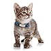 Didog - Collar para gatos con placa de acero inoxidable personalizable, reflectante,...
