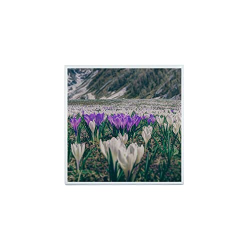 Fabulous Carreau Ceramique Décoratif 10,8 x 10,8 cm - Champs de Crocus Mauves et Blancs Montagne Vie Vegetale