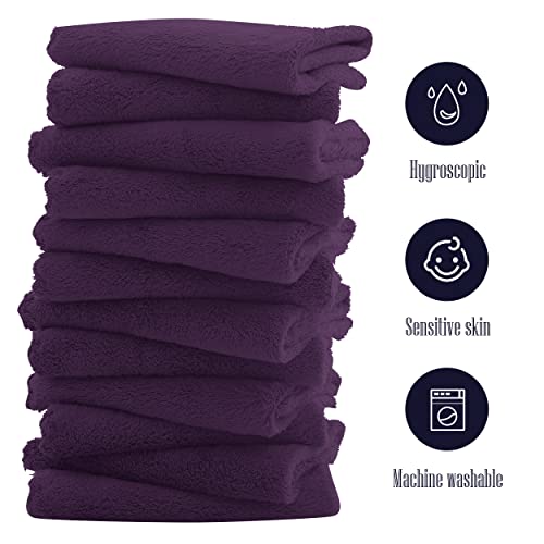 Image of 16 Pack Baby Washcloths - Luxury Coral Fleece - Extra Absorbent and Soft Wash Clothes for Newborns, Infants and Toddlers - Suitable for Sensitive Skin and New Born - Baby Shower - Plum, 10x10 Inch