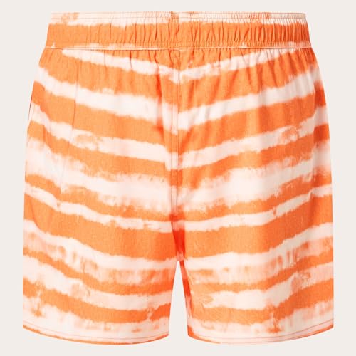 Oakley Men's Blur Stripes Recycled 16" Beachshort3