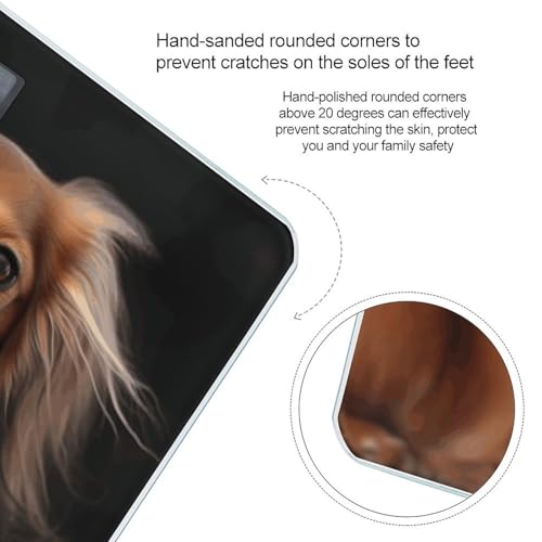 Báscula digital para baño con diseño Dachshund, vidrio templado miniatura 4