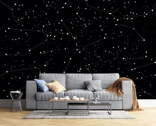 Papier Peint Panoramique Encre Noire 300X210Cm Constellations
