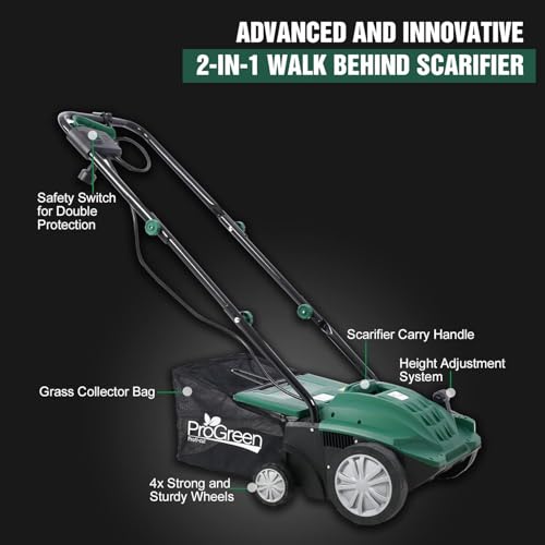 13-Inch Electric Dethatcher & Scarifier, 12 Amp 2-in-1 Lawn Tool with 4-Position Height Adjustment, Folding Design, and Collection Bag for Lawn Health, Green