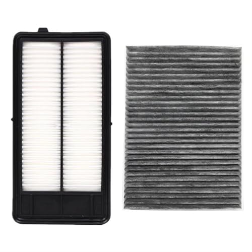 Filtro de habitáculo aire acondicionado y aire motor para Nissan Qashqai J11
