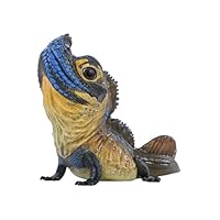 Amazon.co.jp: 動物惑星第24弾 フィリピンホカケトカゲ